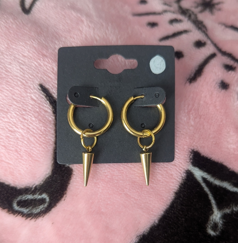 Stainless steel Earrings